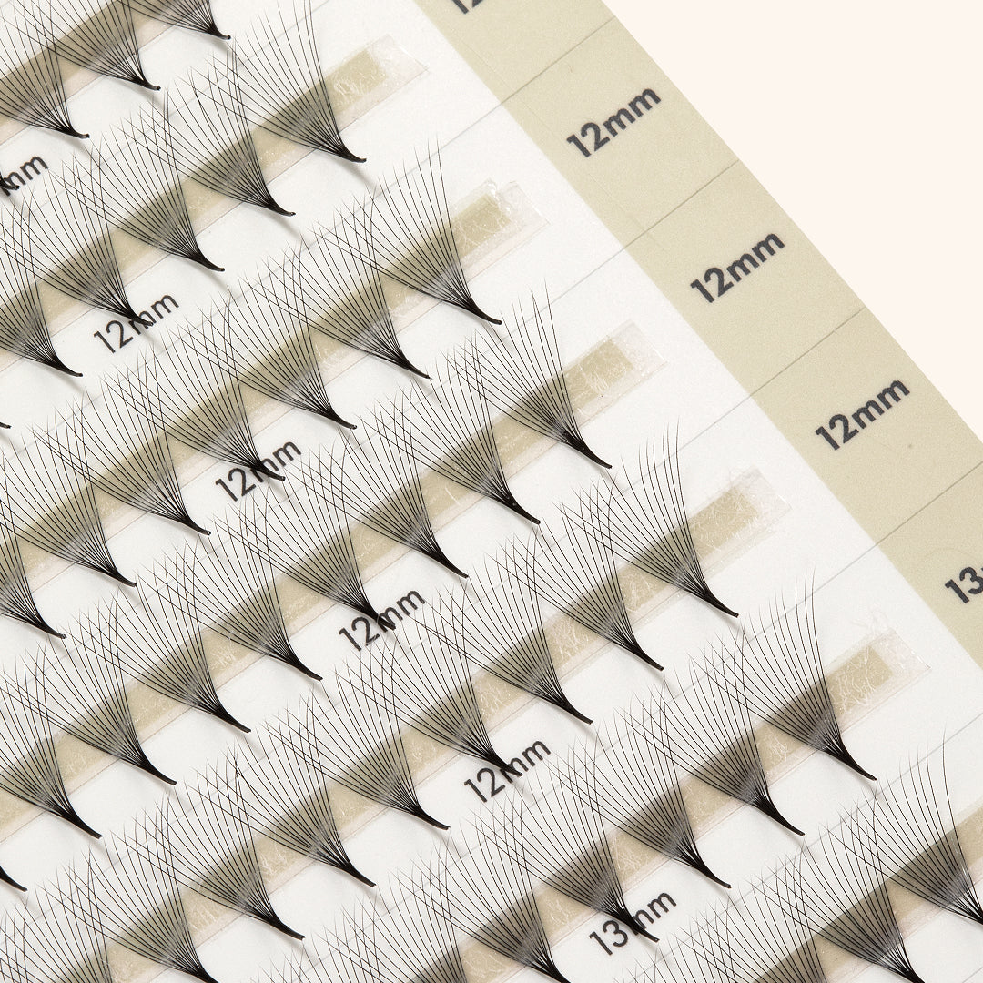 Préfaits Mayfair 12mm et 13mm en volume étroit, bases pincées, sur fond neutre.