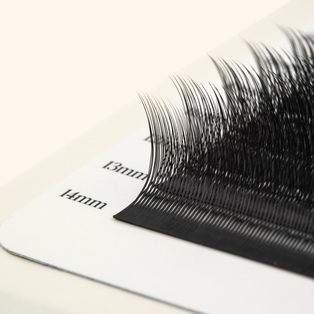 Kitten Lashes - Noir