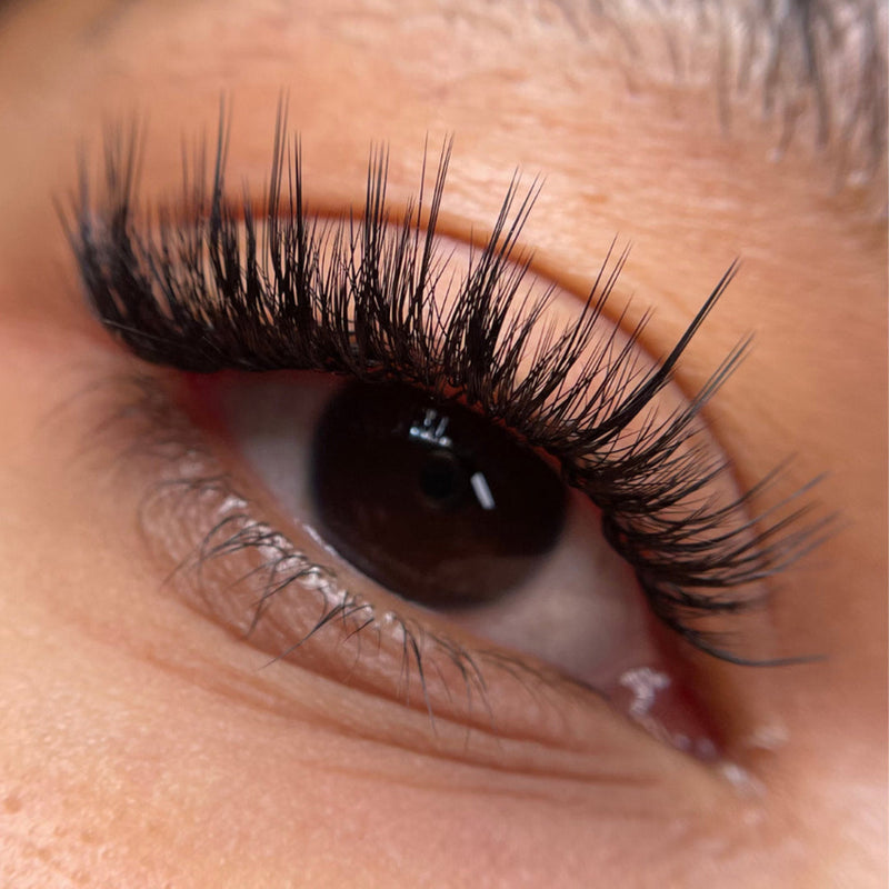 Cils Kensington 0,085 – 20 bandes de cils