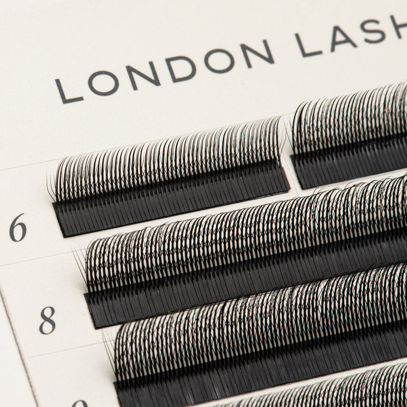 SpeedYY Lashes - 3DW with Spike