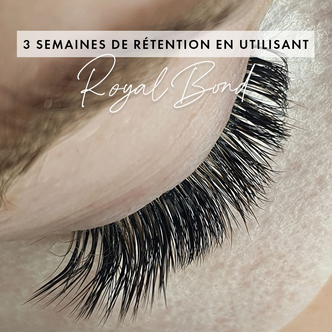 Trois semaines de rétention en utilisant la colle à cils Royal Bond sur des extensions de cils magnifiques.