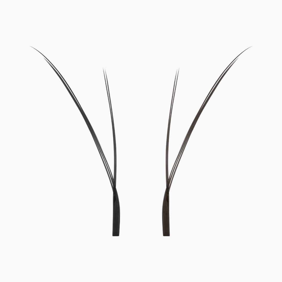 Gros plan de deux bouquets d'extensions de cils Kitten noirs sur fond blanc, mettant en valeur leurs pointes fines et leurs fibres légères