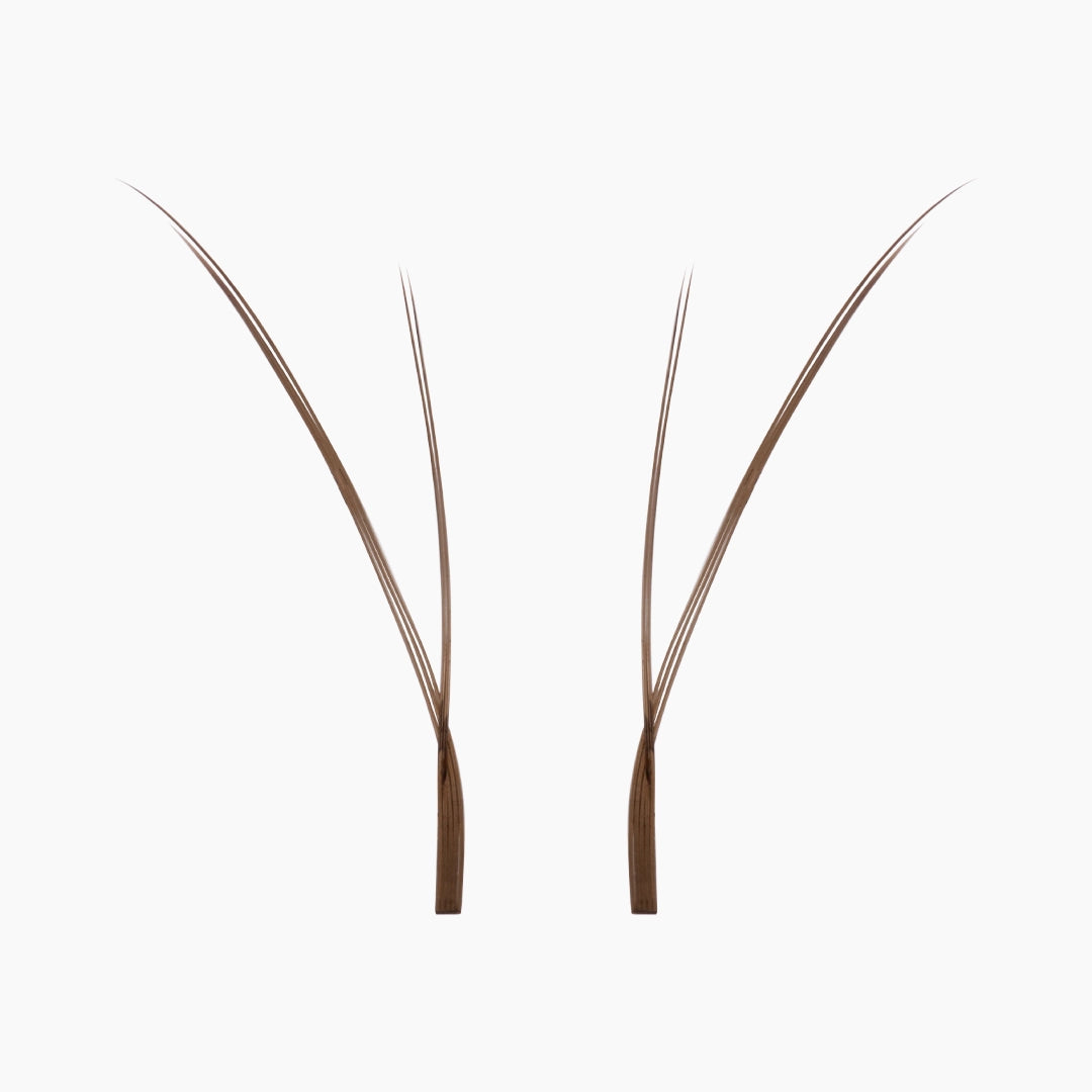 Deux bouquets individuels d’extensions de cils Kitten marron sur fond blanc, montrant leurs bases fines et leurs pointes douces et évasées.