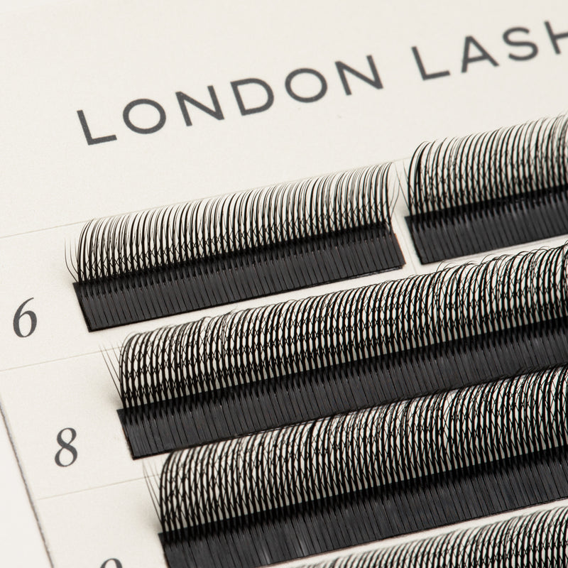 SpeedYY Lashes - 3DW with Spike